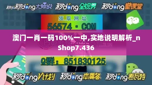 澳门一肖一码100%一中,实地说明解析_nShop7.436