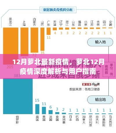 12月萝北疫情深度解析与用户指南