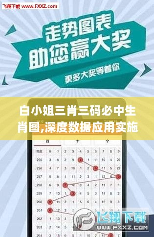 白小姐三肖三码必中生肖图,深度数据应用实施_云端版10.340