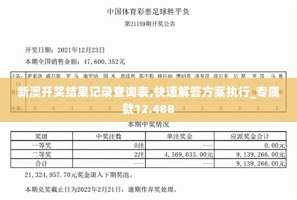 新澳开奖结果记录查询表,快速解答方案执行_专属款12.488