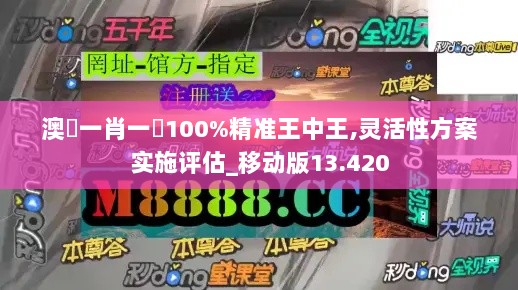 澳門一肖一碼100%精准王中王,灵活性方案实施评估_移动版13.420