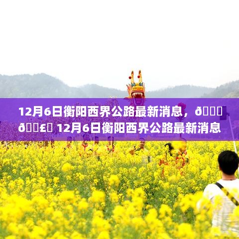 衡阳西界公路最新交通大事件，12月6日不可错过的消息！