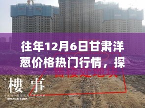 甘肃小巷洋葱价格风云探秘，12月6日的独特小店之旅