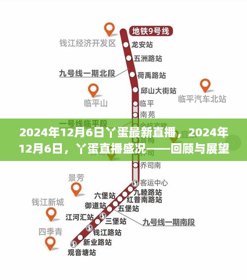 2024年12月6日丫蛋直播盛况回顾与展望