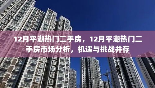 12月平湖热门二手房市场，机遇与挑战并存的深度分析