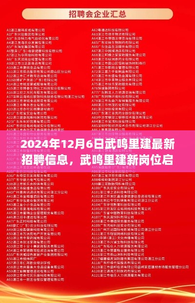 2024年12月6日武鸣里建最新招聘信息深度解读，新岗位启航，机遇与挑战并存