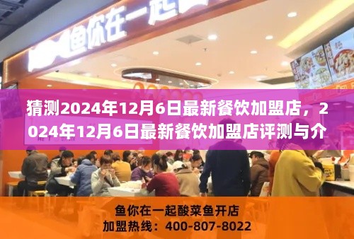 2024年12月6日最新餐饮加盟店评测与介绍