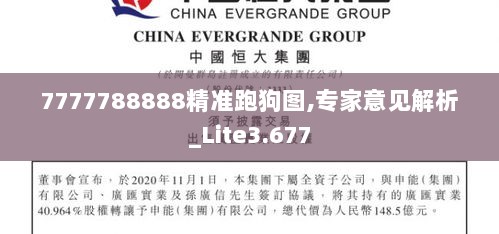 7777788888精准跑狗图,专家意见解析_Lite3.677