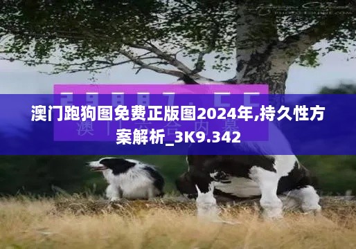 澳门跑狗图免费正版图2024年,持久性方案解析_3K9.342