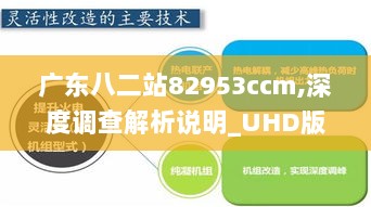 广东八二站82953ccm,深度调查解析说明_UHD版6.268