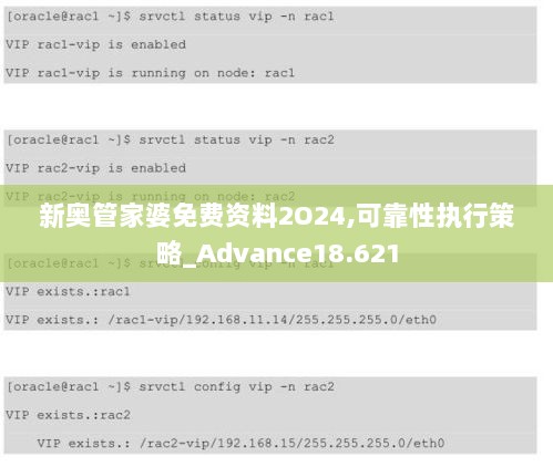 新奥管家婆免费资料2O24,可靠性执行策略_Advance18.621