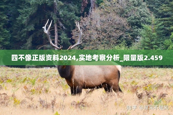 四不像正版资料2024,实地考察分析_限量版2.459