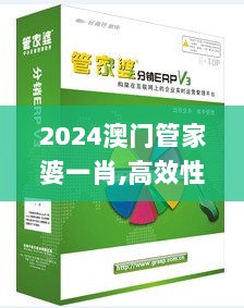 2024澳门管家婆一肖,高效性策略设计_U10.140