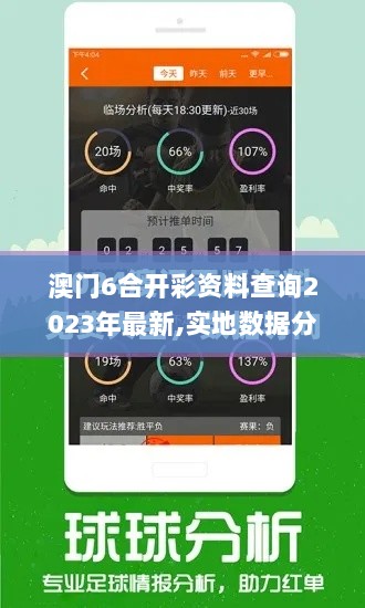 澳门6合开彩资料查询2023年最新,实地数据分析方案_Phablet9.838