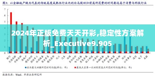 2024年正版免费天天开彩,稳定性方案解析_Executive9.905