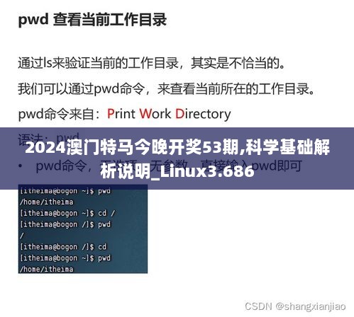 2024澳门特马今晚开奖53期,科学基础解析说明_Linux3.686