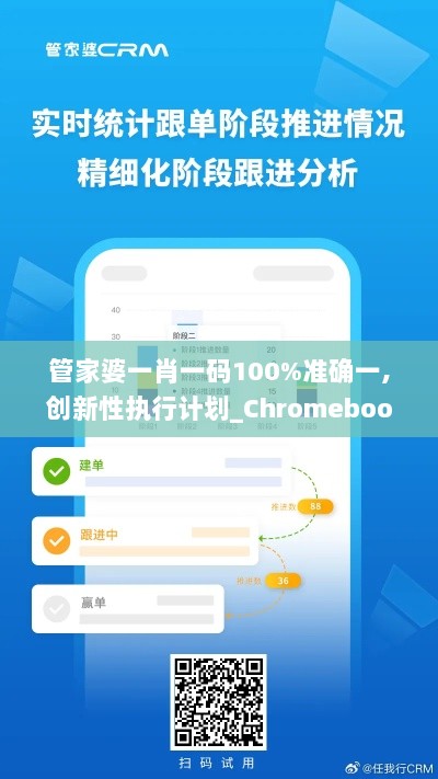 管家婆一肖一码100%准确一,创新性执行计划_Chromebook6.921