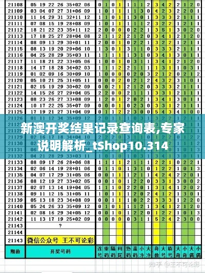 新澳开奖结果记录查询表,专家说明解析_tShop10.314