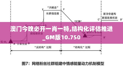 澳门今晚必开一肖一特,结构化评估推进_GM版10.750