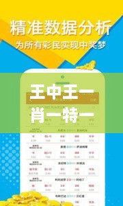 王中王一肖一特一中一MBA,全面执行计划数据_开发版5.968