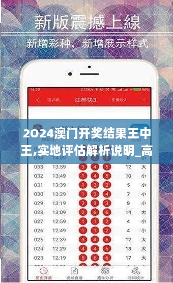 2O24澳门开奖结果王中王,实地评估解析说明_高级款9.988