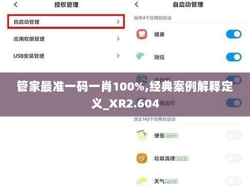 管家最准一码一肖100%,经典案例解释定义_XR2.604