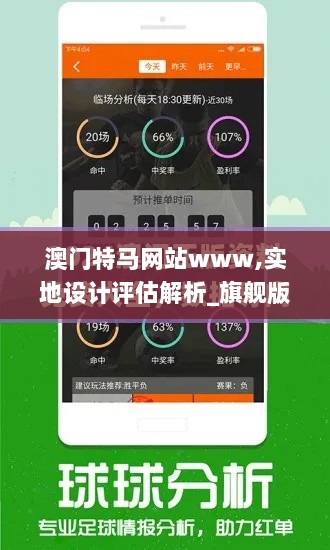 澳门特马网站www,实地设计评估解析_旗舰版4.928