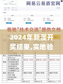 2024年新澳开奖结果,实地验证数据分析_Windows12.799