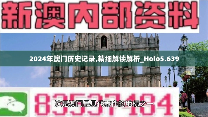 2024年澳门历史记录,精细解读解析_Holo5.639