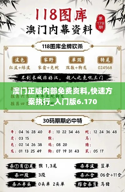 澳门正版内部免费资料,快速方案执行_入门版6.170