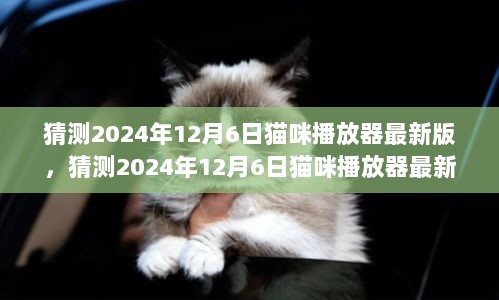 2024年12月6日猫咪播放器最新版的未来走向与展望猜测