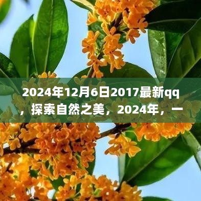 2024年，探索自然之美的QQ旅行之旅