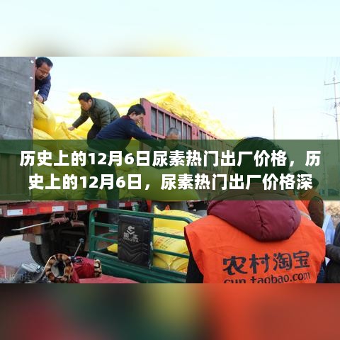 历史上的12月6日，尿素热门出厂价格深度解析