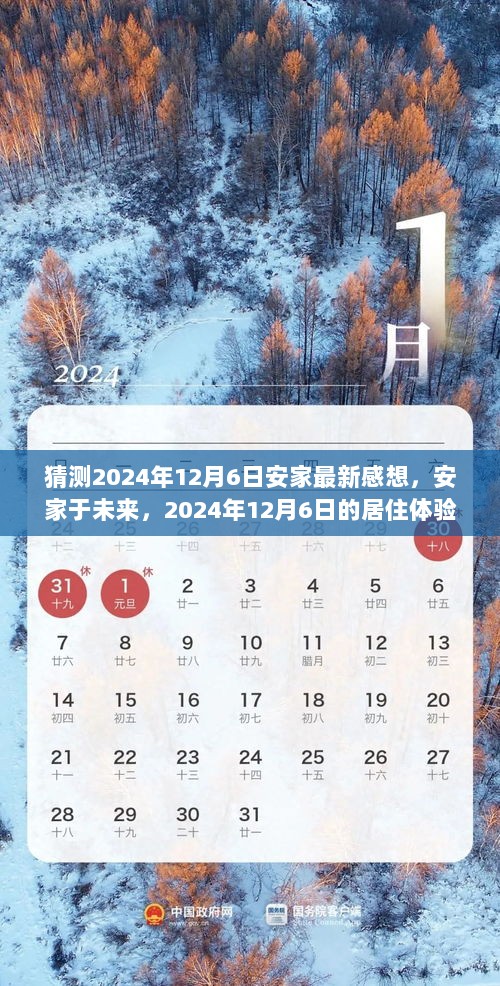 2024年12月6日，安家于未来的居住体验与感悟