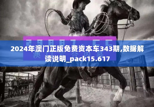 2024年澳门正版免费资本车343期,数据解读说明_pack15.617