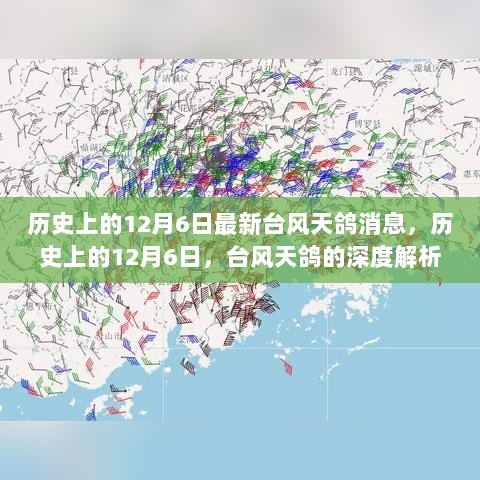 历史上的12月6日，台风天鸽深度解析与应对策略