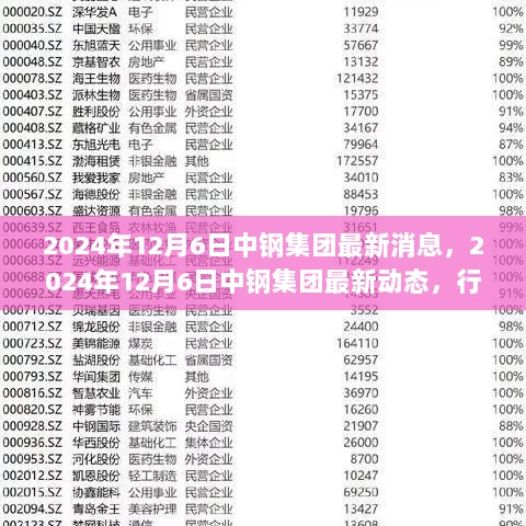 中钢集团2024年12月6日最新动态及未来发展趋势展望，技术创新与行业变革的交汇点