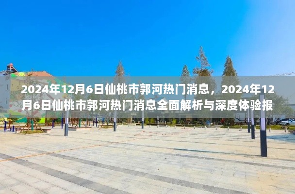 2024年12月6日仙桃市郭河热门消息深度体验与全面解析报告