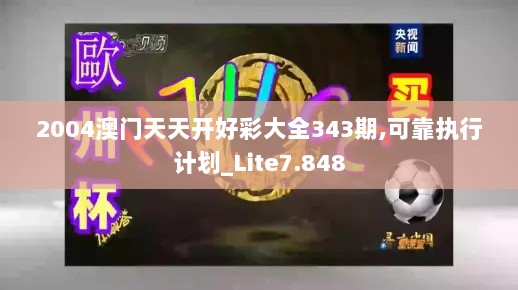 2004澳门天天开好彩大全343期,可靠执行计划_Lite7.848