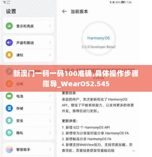 新澳门一码一码100准确,具体操作步骤指导_WearOS2.545