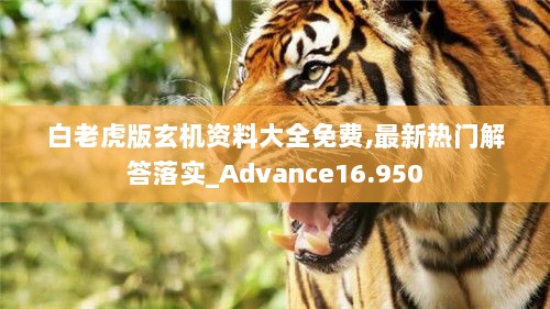 白老虎版玄机资料大全免费,最新热门解答落实_Advance16.950