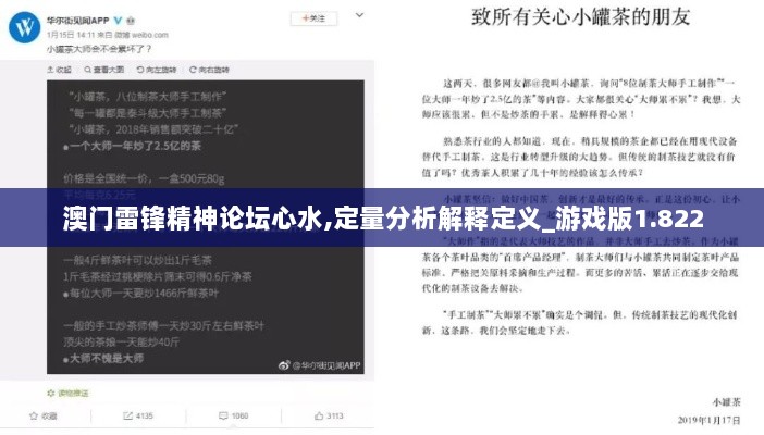 澳门雷锋精神论坛心水,定量分析解释定义_游戏版1.822