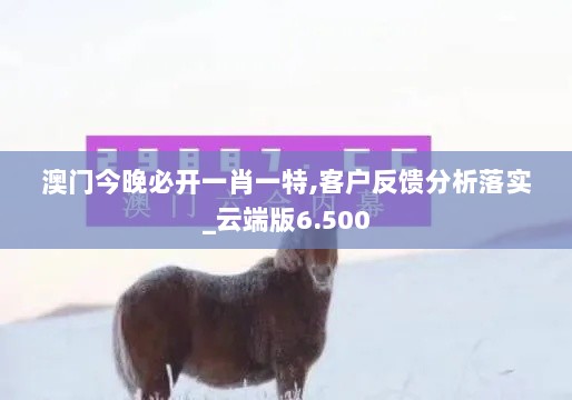 澳门今晚必开一肖一特,客户反馈分析落实_云端版6.500