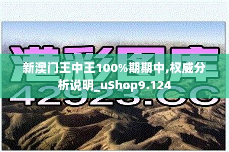 新澳门王中王100%期期中,权威分析说明_uShop9.124