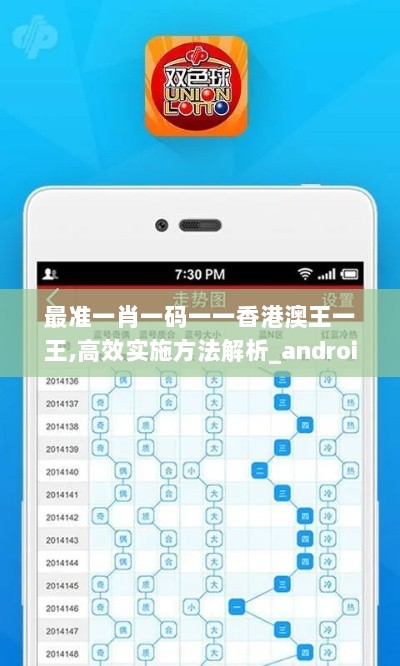 最准一肖一码一一香港澳王一王,高效实施方法解析_android9.757