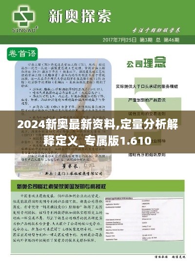 2024新奥最新资料,定量分析解释定义_专属版1.610