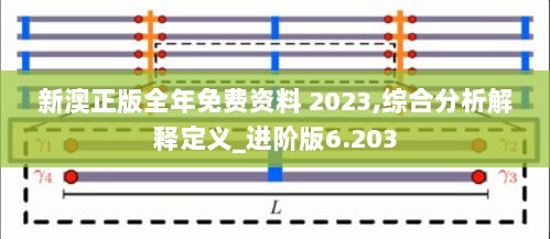 新澳正版全年免费资料 2023,综合分析解释定义_进阶版6.203