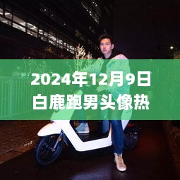 2024年12月9日，白鹿领跑，探索内心平静的魅力之旅