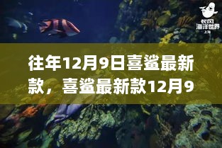 喜鲨最新款12月9日版，初学者与进阶用户的使用指南