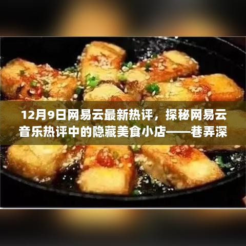 网易云音乐热评中的隐藏美食小店，探秘巷弄深处的独特风味